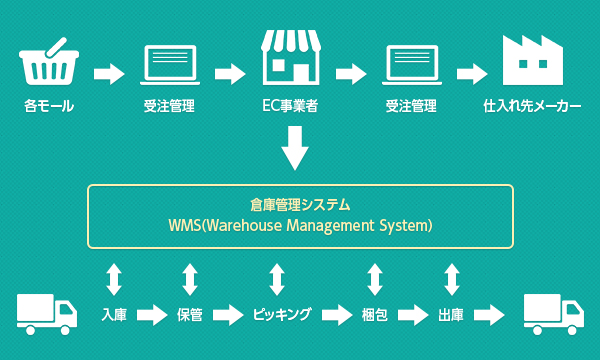 ECのミカタ社員が行く！倉庫見学レポート《第1弾》｜ECのミカタ