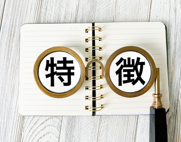 楽天市場への出店は、こんなEC事業者に向いている