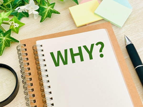 ネットショップの在庫管理方法が重要な4つの理由