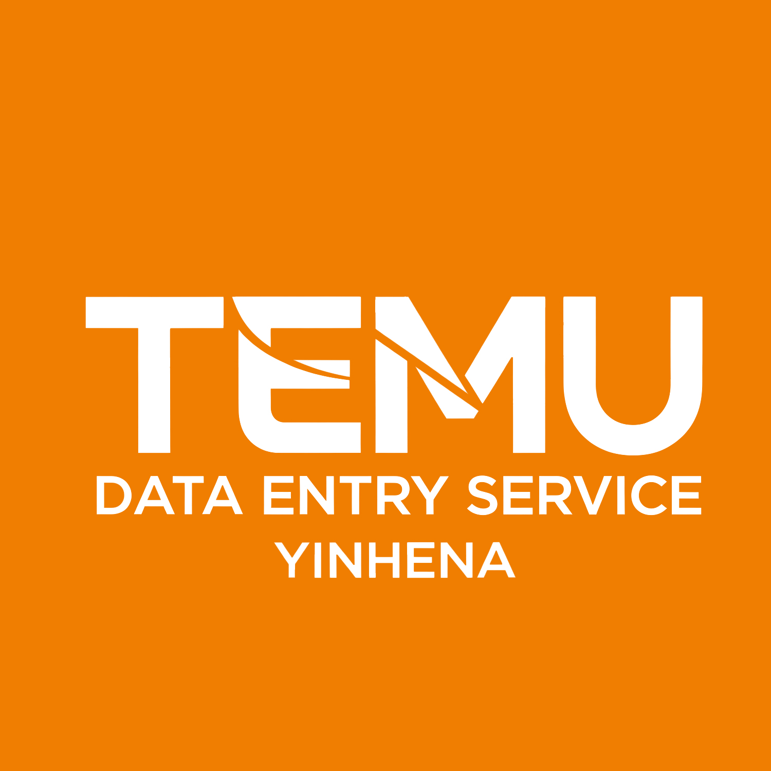 TEMU商品登録代行／運用代行　※amazonも可能！