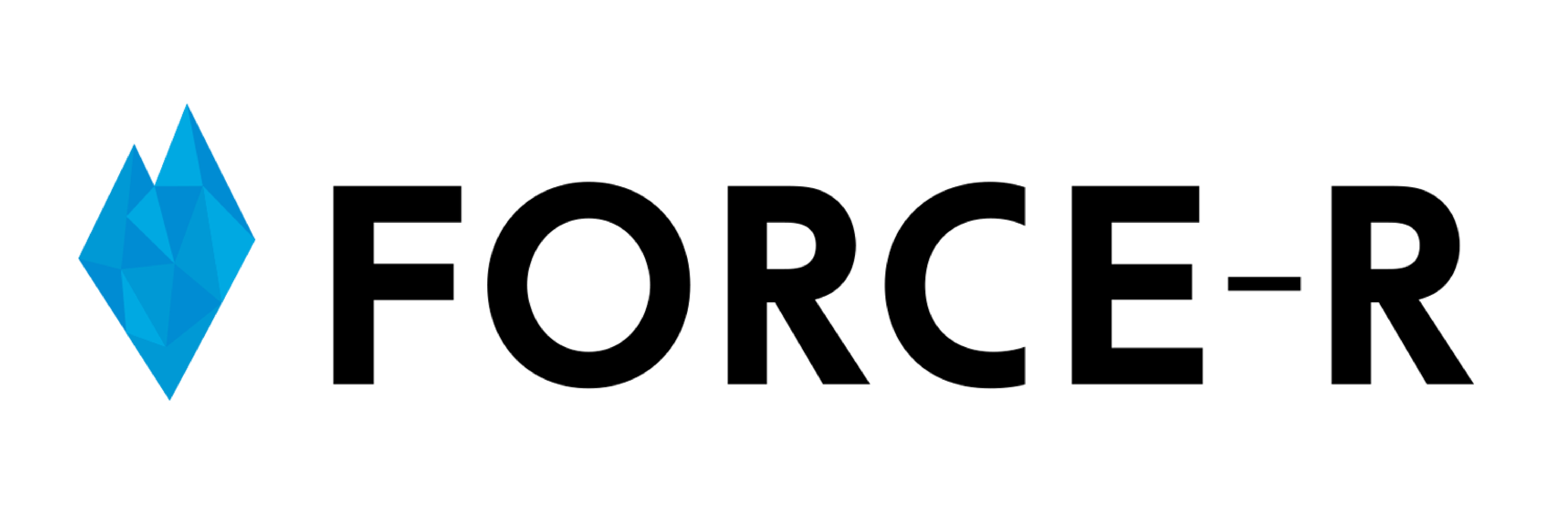 FORCE-R 株式会社