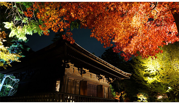 美しい日本を世界へ発信、経産省「PHOTO METI PROJECT」開始
