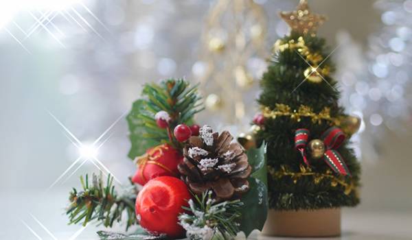 20代の約4人に1人が1人のクリスマス、EC売上向上か【楽天リサーチ調べ】