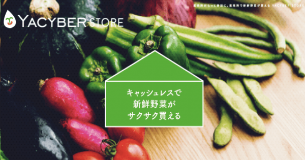 ブランド登録なし 横幕 無人販売 新鮮野菜 (レトロ 緑) YK-1193