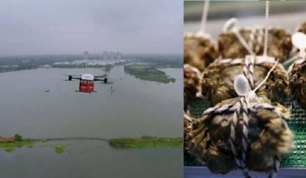 京東集団（JD.com）がドローンによる史上初の生鮮配送を開始！上海ガニが空を飛ぶ！