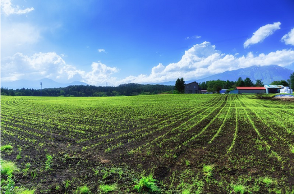 サービス開始の背景