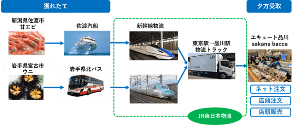 実証実験概要