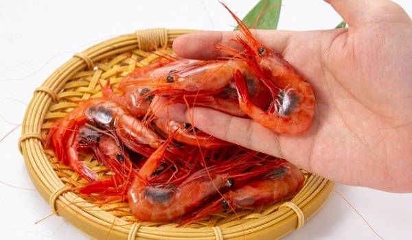 新幹線物流初の鮮魚輸送　JR東日本グループが6月11日から実証実験開始
