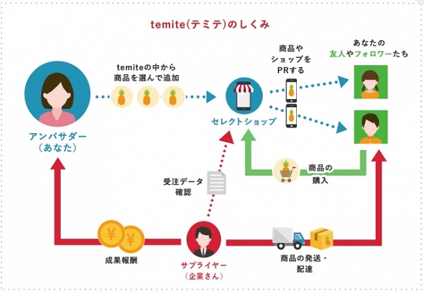 temiteの3つの特徴