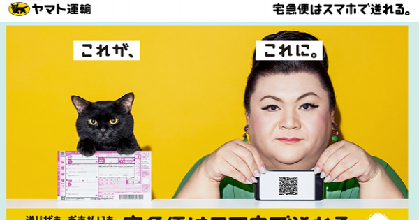ショパンを聴きながら　訳あり注意　匿名配送　クロネコメール便にて発送　送料無料 ショパンを聴きながら訳あり注意匿名配送クロネコメール便にて発送送料無料