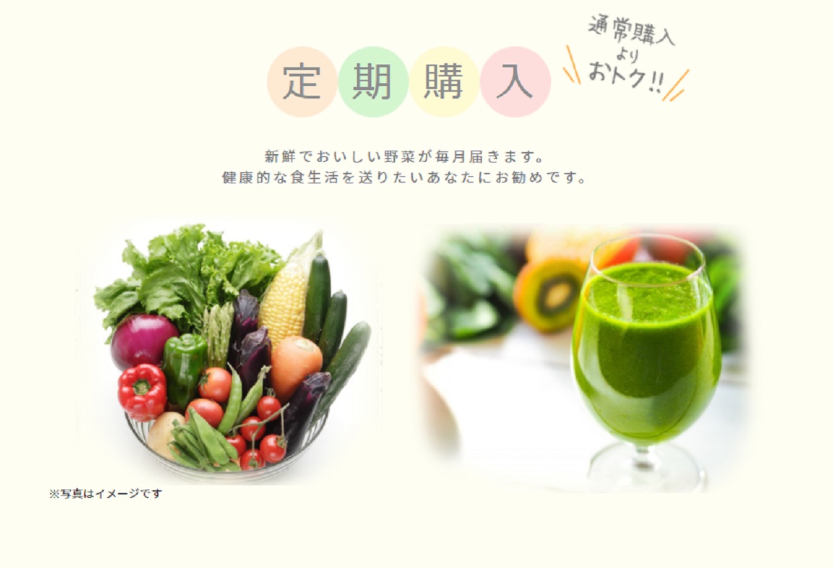 We Agriが日本郵便のネットショップで 新鮮野菜便 Fresh Vegetable Direct を開設 旬な新鮮野菜をecで届ける Ecのミカタ