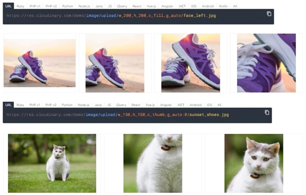 Cloudinaryが解決できること