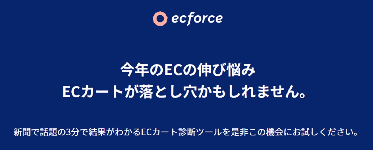 ECサイト運営の簡易採点ツール概要