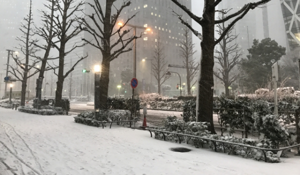 降雪等に伴う物流遅延、主要3社（ヤマト・日本郵政・佐川）の最新情報まとめ