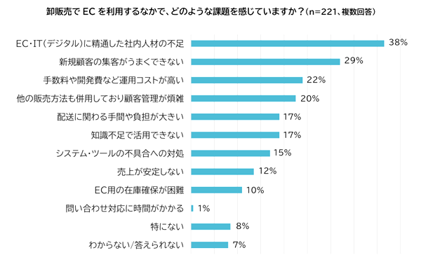 EC利用の課題は「EC・ITに精通した社内人材の不足」