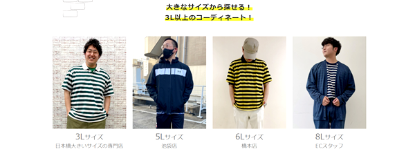 サカゼン独自のスタイリング提案