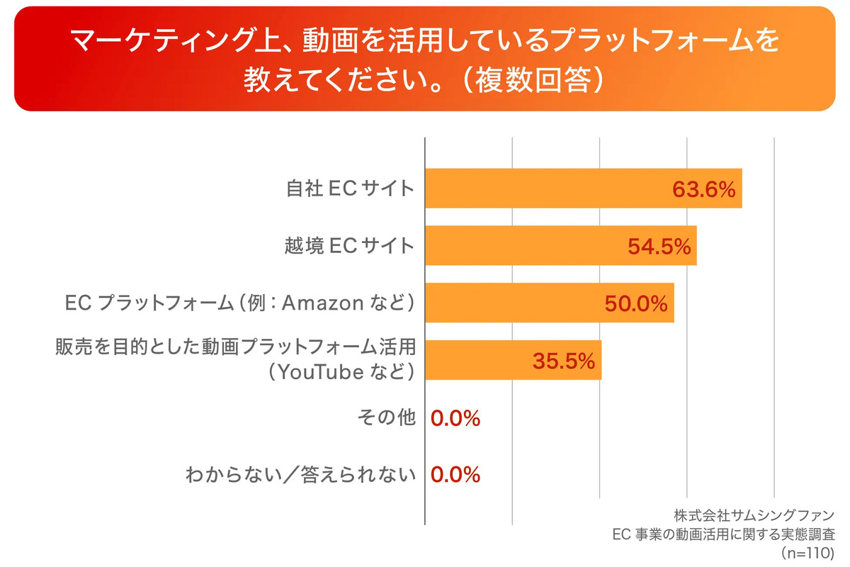 動画で伝えている情報は？