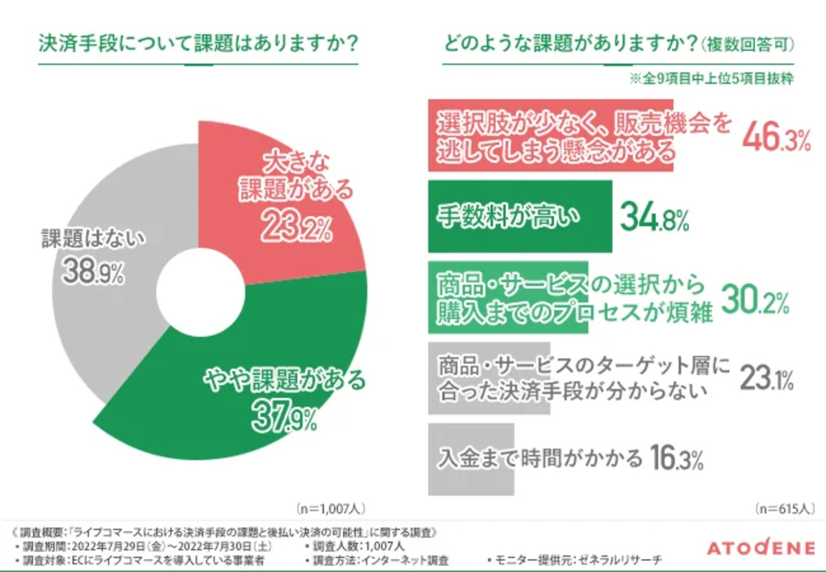 決済手段の選択肢が少ないことが課題に