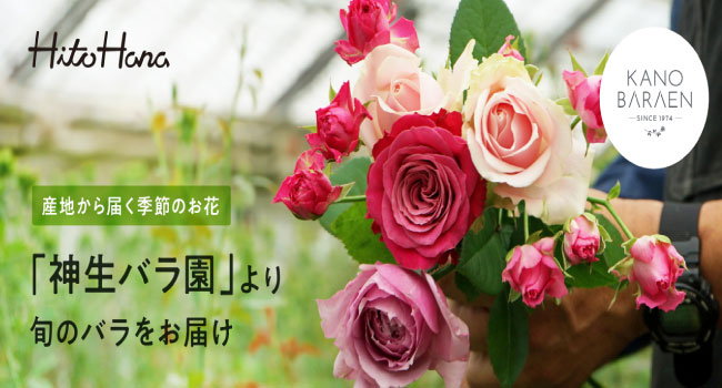 「HitoHana（ひとはな）」が切り花の産地直送（産直）事業をスタート