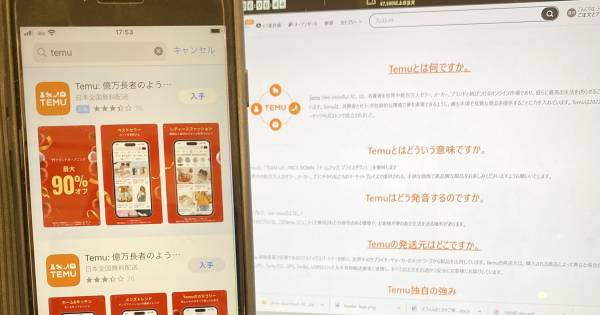 格安越境ECプラットフォームの台頭と市場への影響（TEMUなど）