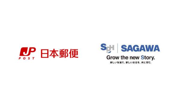 ユーフォルビア シンメトリカ 雌 根有 現品 佐川急便ゆうパック発送 ユーフォルビア シンメトリカ 雌 根有 現品 佐川急便ゆうパック