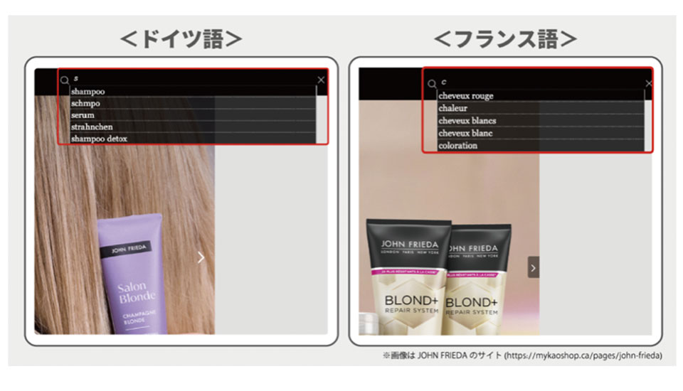 花王グループのグローバルサイトに「ZETA SEARCH」導入 多言語で
