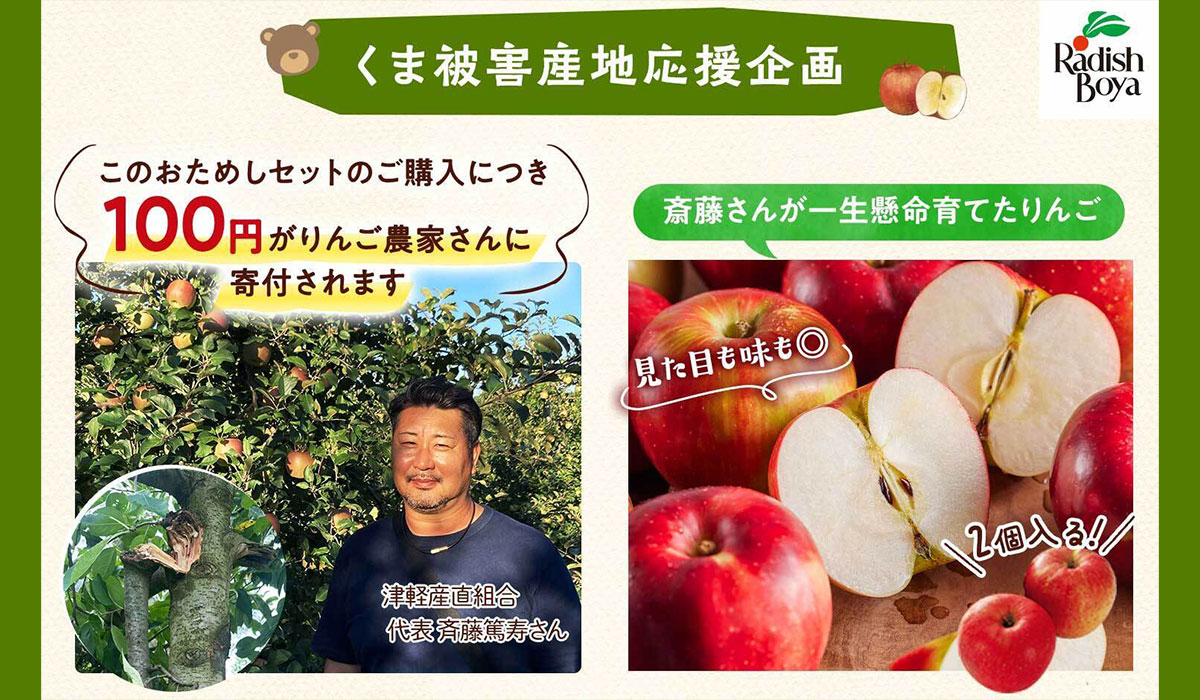  会社概要 プレスリリース フォロー 【らでぃっしゅぼーや】青森のりんご産地で「クマ被害」深刻化 「クマ被害支援りんご入りふぞろい食材おためしセット」販売へ（11/10〜）