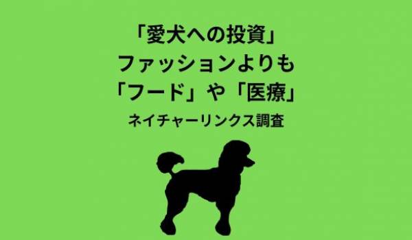 【ファッションよりフードや医療】愛犬への投資は“メリハリ消費”！8割が「もっと何かしたい」が“できない理由”の年代差が浮き彫りに
