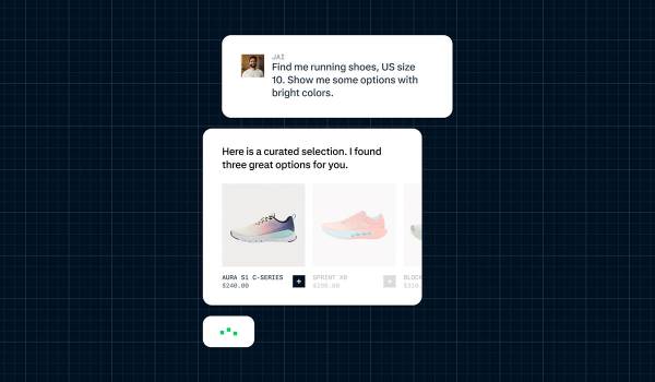 Adyen、次世代のコマースを支援するユニバーサルトランスレーター、「Adyen Agentic」を発表