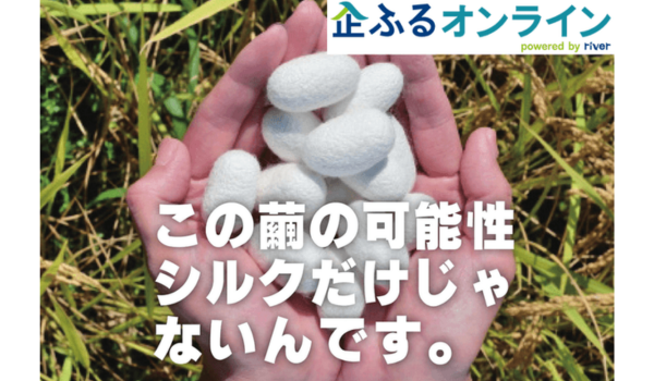 京都府京丹後市のまちづくりを企業の力で支援！企業版ふるさと納税「企ふるオンライン」で寄附受付を開始