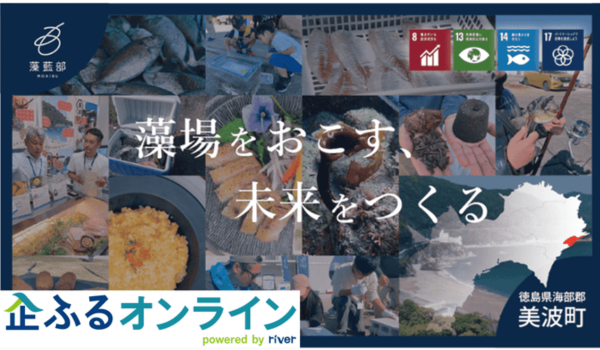 徳島県美波町のまちづくりを企業の力で支援！企業版ふるさと納税「企ふるオンライン」で寄附受付を開始