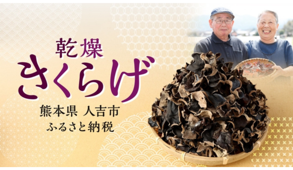 【熊本県人吉市ふるさと納税】食の安全と生産者の想いが詰まった「訳あり乾燥きくらげ」人吉市から全国へ