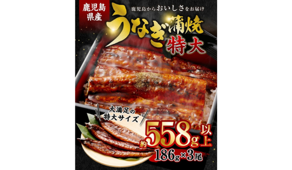【鹿児島県薩摩川内市ふるさと納税】数量限定の極上グルメ！特大サイズうなぎ蒲焼3尾セットが登場！