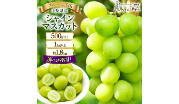 【山梨県中央市】期間限定！フルーツ王国山梨の「果実の宝石」シャインマスカット 500g以上～約1.8kg(1房/2～3房)が受付中