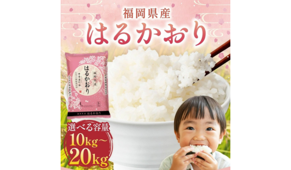 【福岡県香春町ふるさと納税】お米マイスターが厳選！福岡県産米「はるかおり」精米 10kgセット掲載中