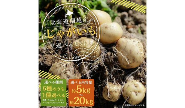 【北海道蘭越町ふるさと納税】期間限定！種類と容量が選べる北海道蘭越産じゃがいもが受付中