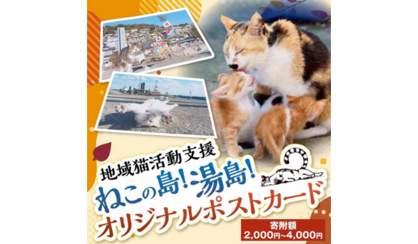 【熊本県上天草市ふるさと納税】地域猫活動支援「ねこの島！湯島！オリジナルポストカード」が受付中