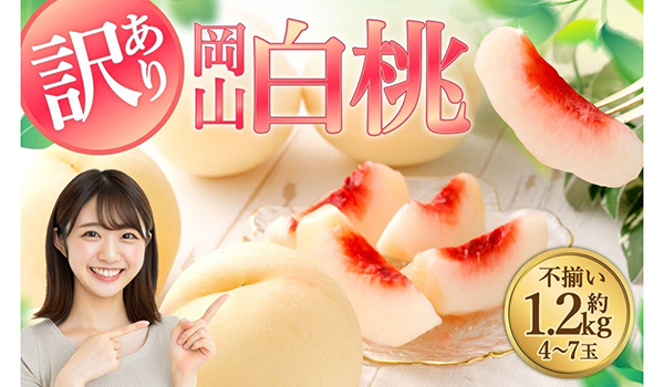 【岡山県倉敷市ふるさと納税】気品ある美しい桃「【訳あり】岡山白桃（家庭用）1.2kg以上 サイズ不揃い」を受付中です。